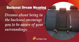 Backseat Dream Meaning