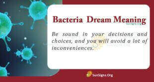 Bacteria Dream Meaning