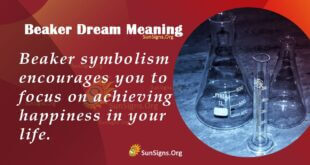 Beaker Dream Meaning
