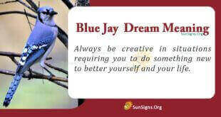Blue Jay Dream Meaning