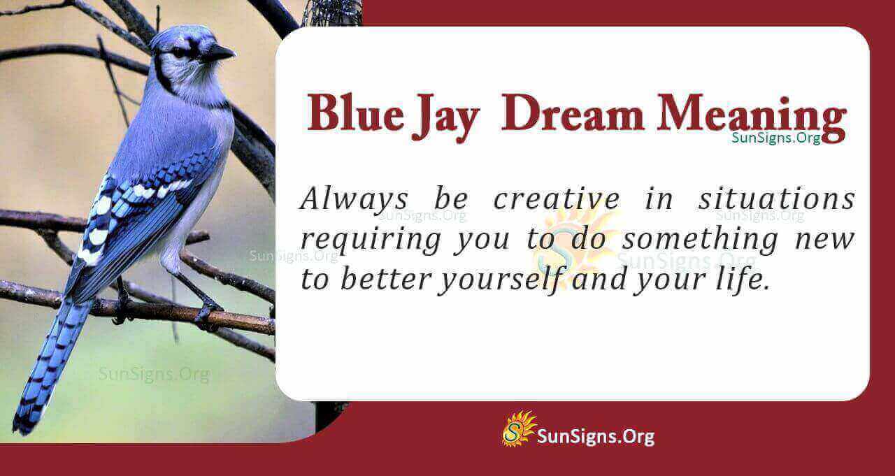 Blue Jay In Dream Meaning, Interpretation and Symbolism