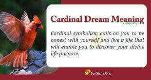 Cardinal Dream Meaning