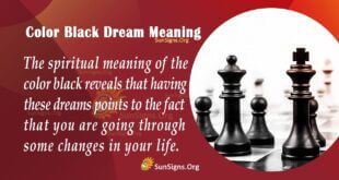Color Black Dream Meaning