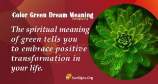 Color Green Dream Meaning