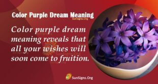 Color Purple Dream Meaning