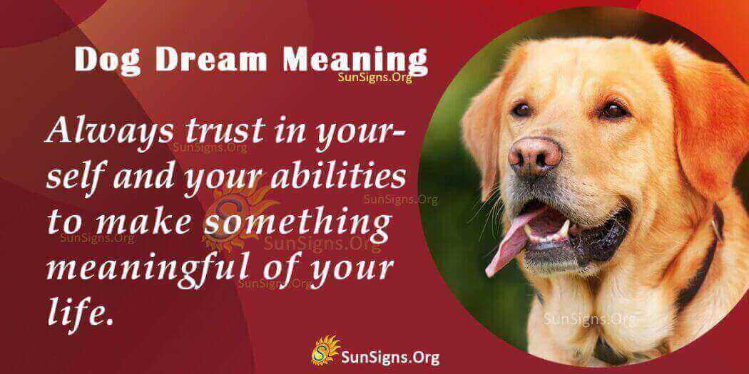 Dog Dream Meanings, Interpretation And Symbolism