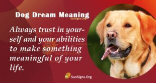Dog Dream Meaning