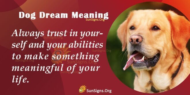 Dog Dream Meaning