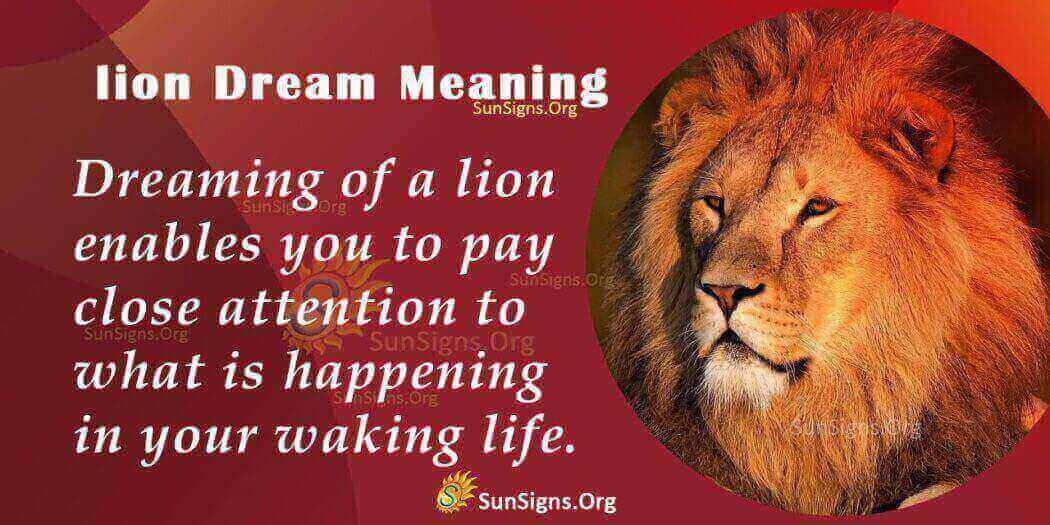 What Does Dreaming Of A Lion Mean? Meaning, Interpretation and
