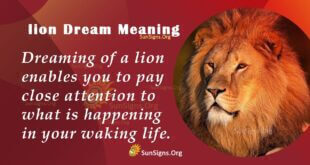 Lion Dream Meaning
