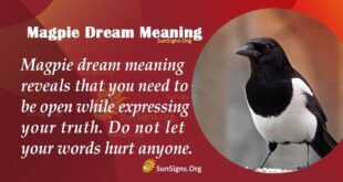 Magpie Dream Meaning