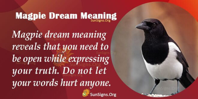 Magpie Dream Meaning