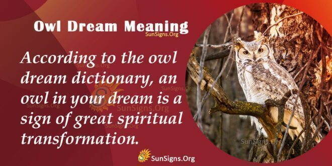 Owl Dream Meaning