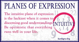 planes of expression number intuitive