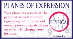 planes of expression number physics