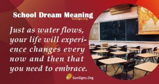 School Dream Meaning