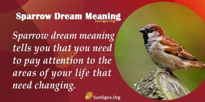 Sparrow Dream Meaning