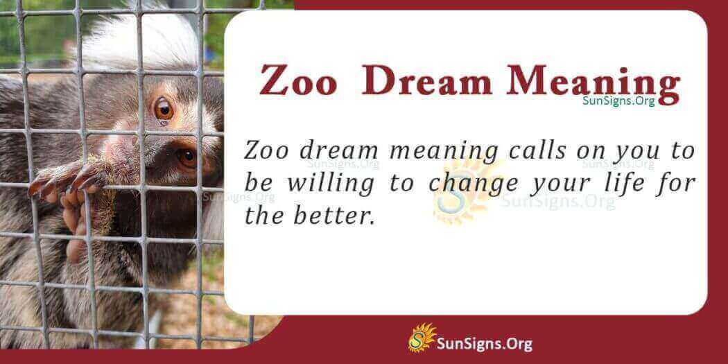 Dreaming Of A Zoo Meaning, Interpretation and Symbolism