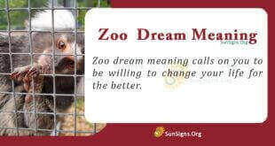 Zoo Dream Meaning