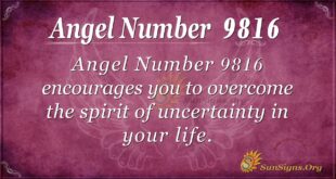 Angel Number 9816