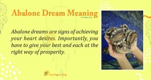 Abalone Dream Meaning