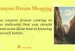Canyon Dream Meaning
