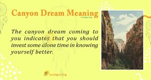 Canyon Dream Meaning
