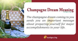 Champagne Dream Meaning