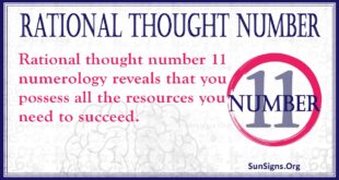 Rational Thought Number 11