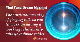 Ying-Yang Dream Meaning