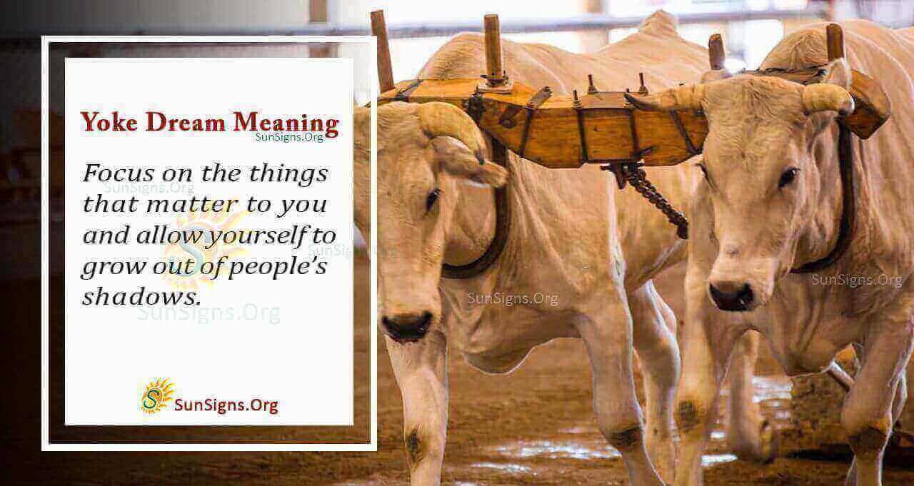 Meaning Of Yoke In Dream Interpretation And Symbolism