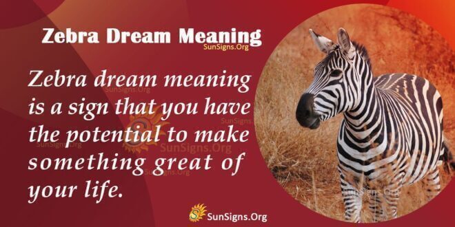 Zebra Dream Meaning