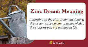 Zinc Dream Meaning