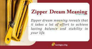 Zipper Dream Meaning