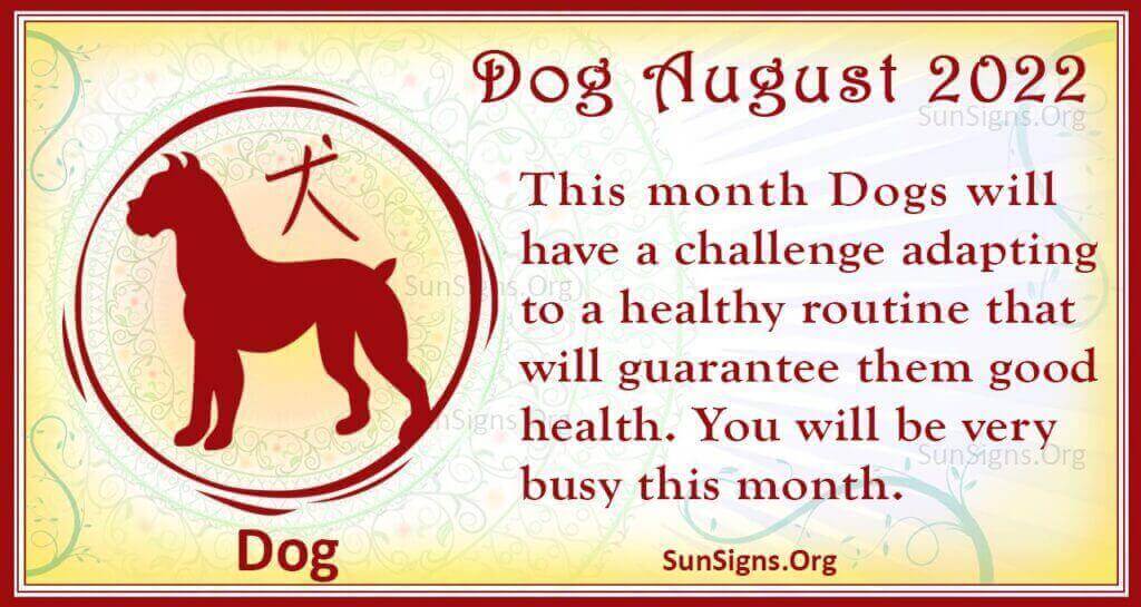 dog august 2022