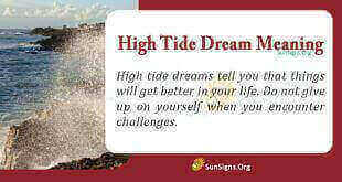 High Tide Dream Meaning