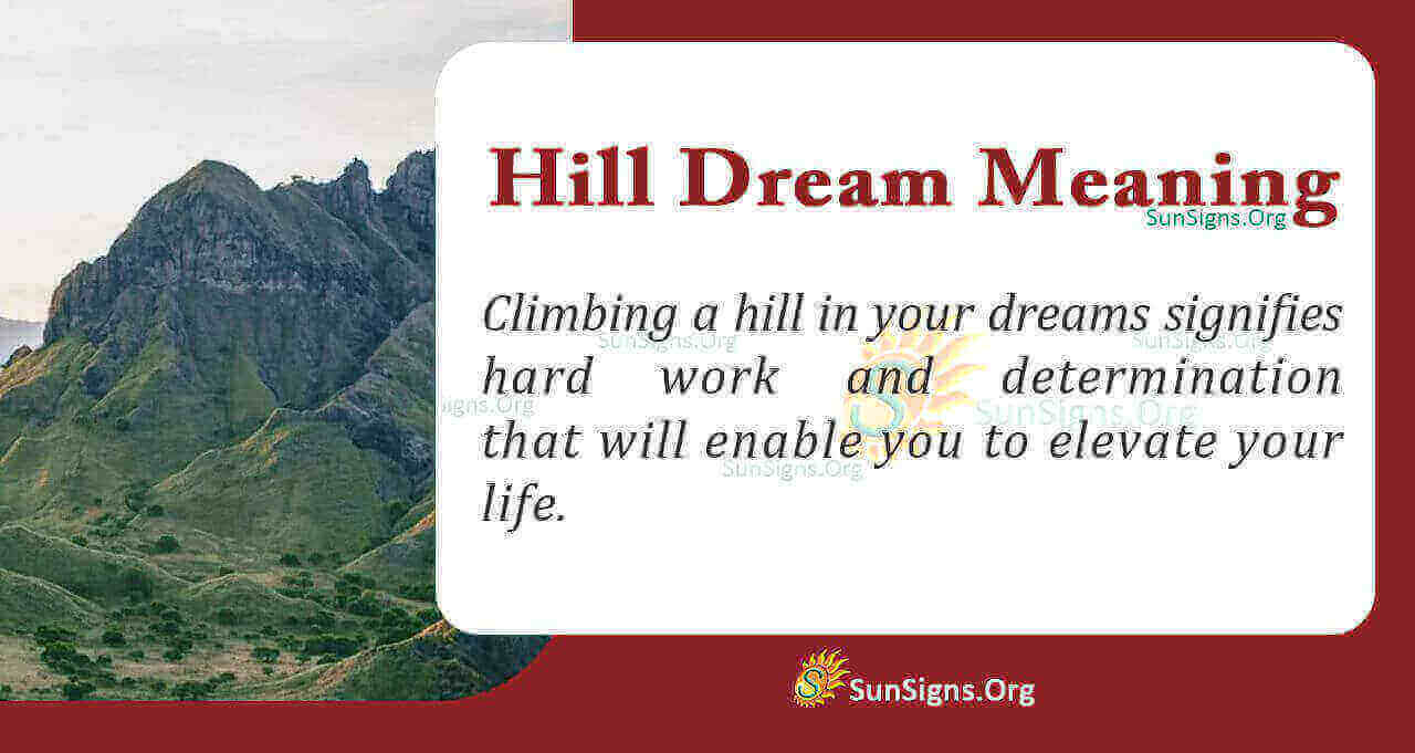 Definition & Meaning of Hill