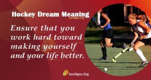 Hockey Dream Meaning