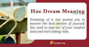 Hoe Dream Meaning