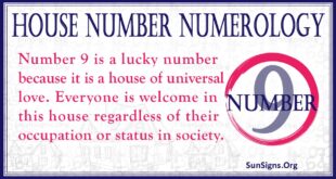 house number numerology 9