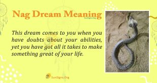 Nag Dream Meaning