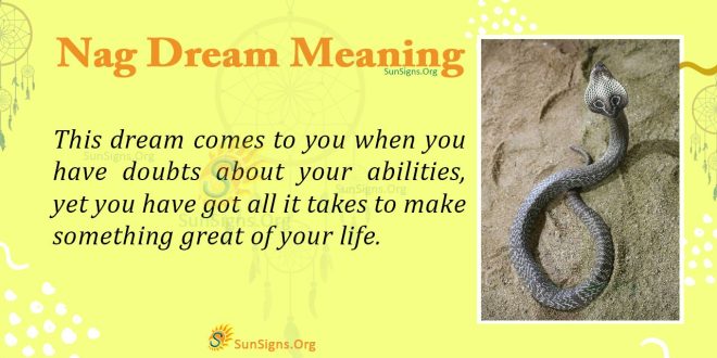 Nag Dream Meaning
