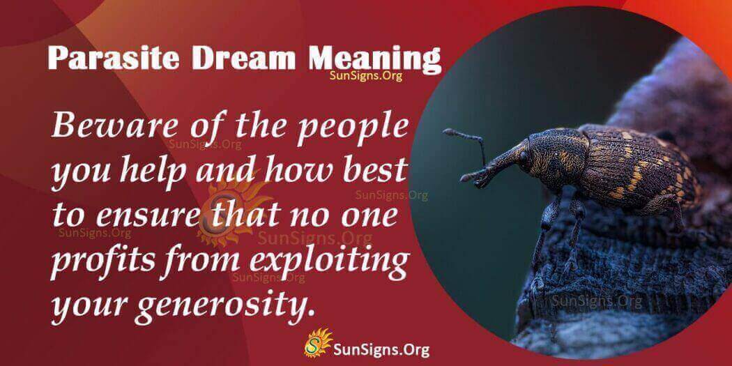 Dream Of Parasite Meaning, Interpretation And Symbolism