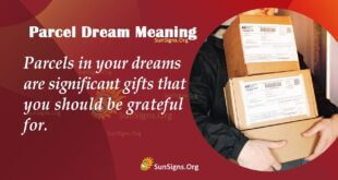 Parcel Dream Meaning