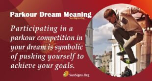 Parkour Dream Meaning