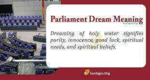 Parliament Dream Meaning