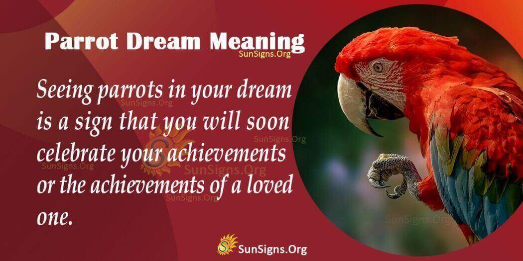 Dream About Parrot Meaning, Interpretation And Symbolism