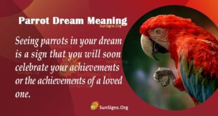 Parrot Dream Meaning