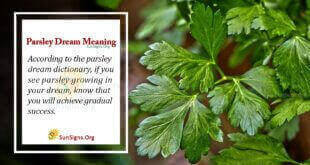 Parsley Dream Meaning