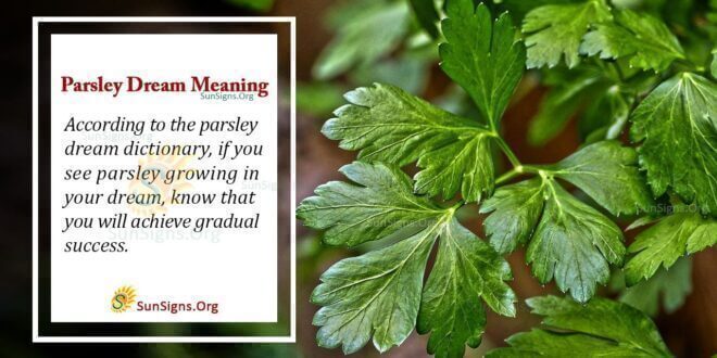 Parsley Dream Meaning